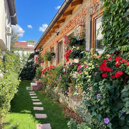 Flower House In The City Center! Πρίστινα Εξωτερικό φωτογραφία