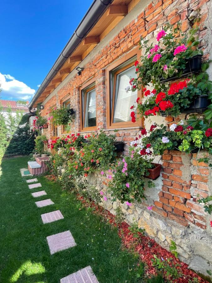 Flower House In The City Center! Πρίστινα Εξωτερικό φωτογραφία