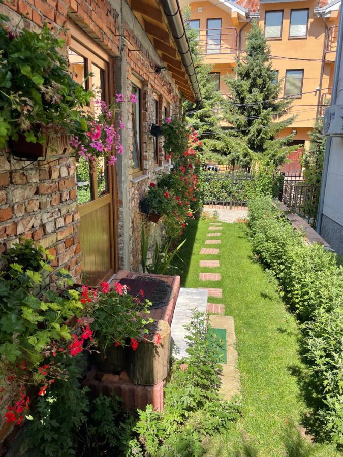 Flower House In The City Center! Πρίστινα Εξωτερικό φωτογραφία